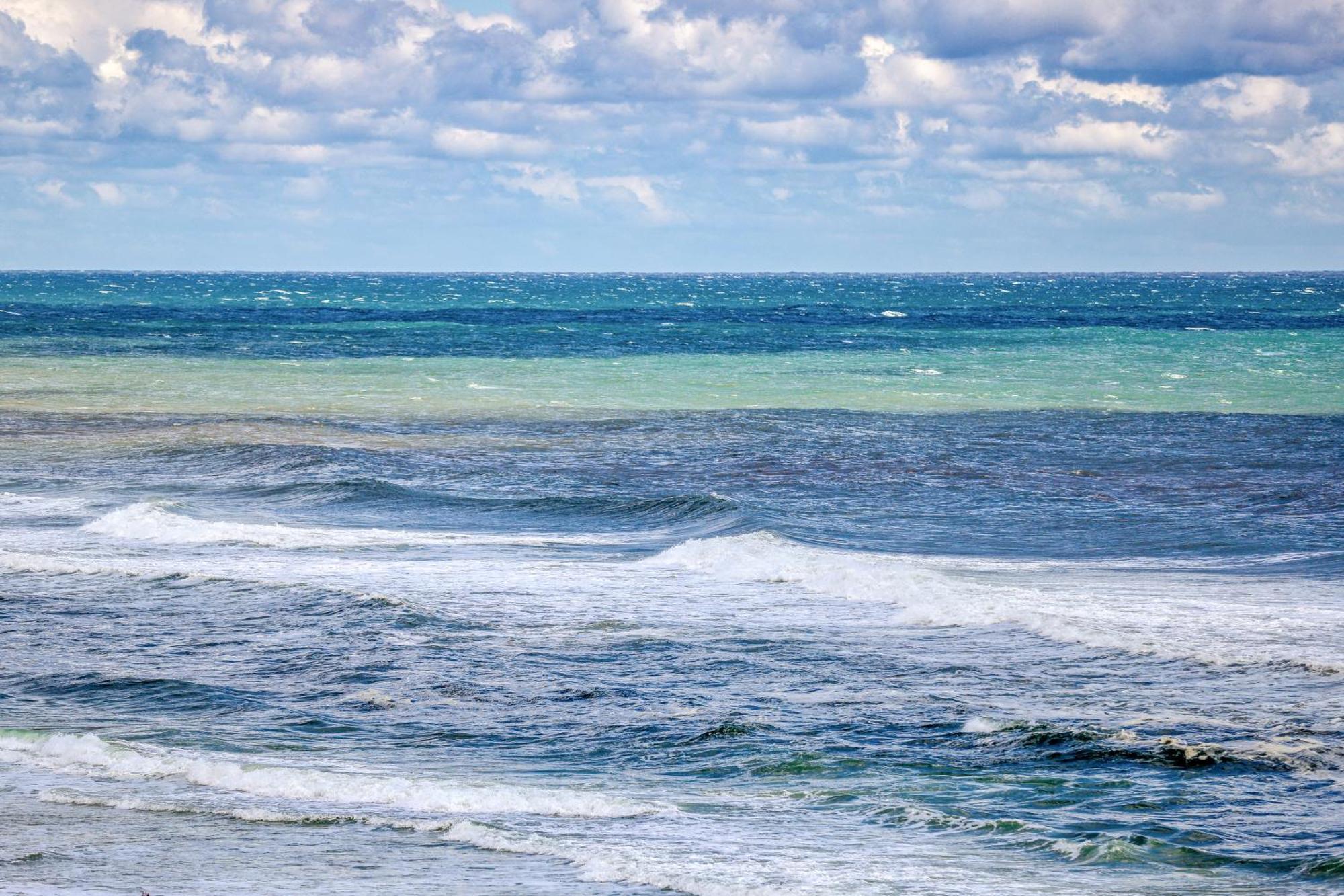 Seychelles Beach Resort IV Panama City Beach Rom bilde